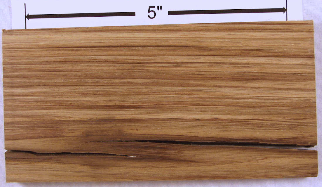 chestnut, american 1b s50 plh.jpg